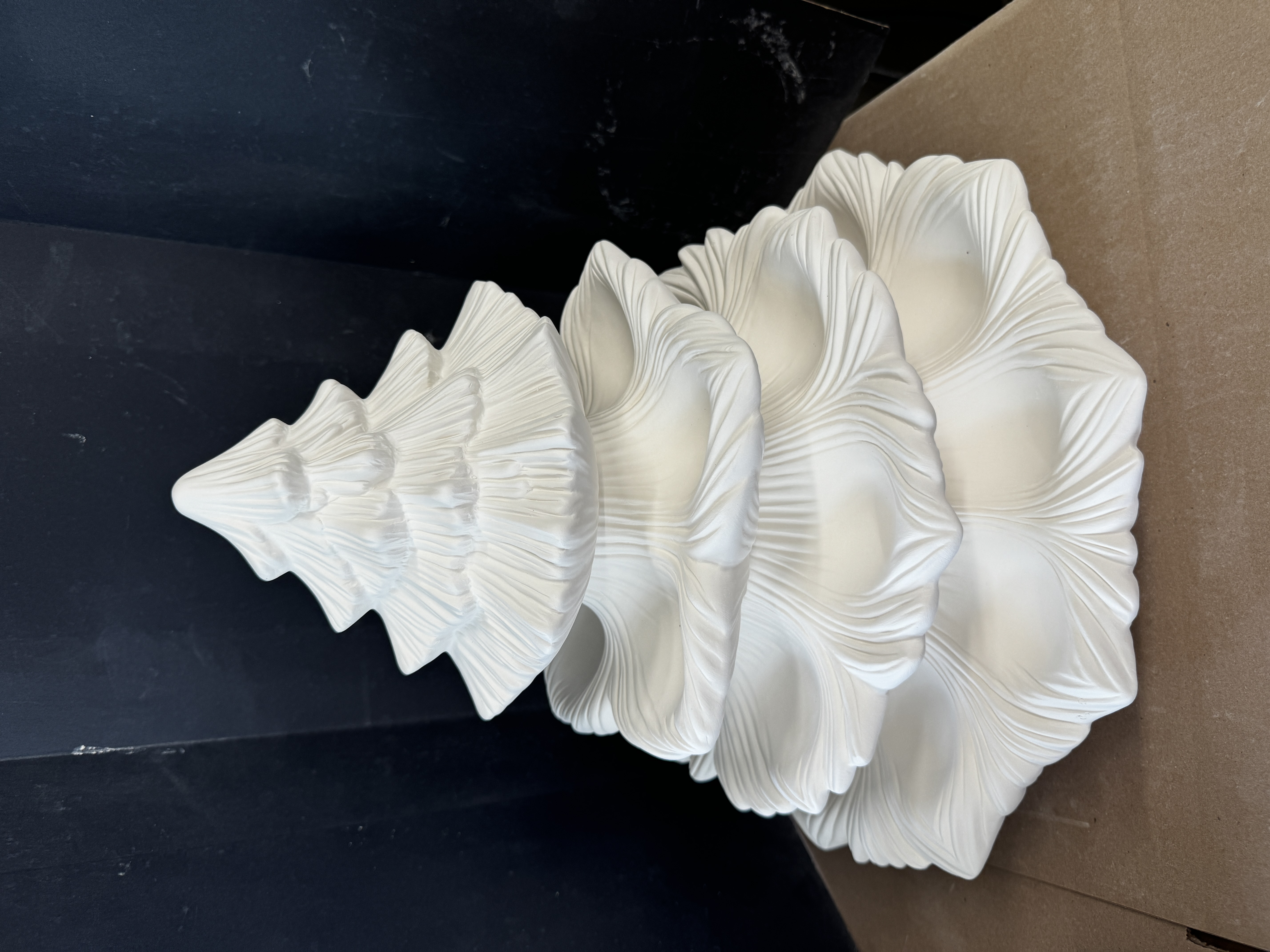 Milk‐tree♡ African Milk Tree — KinKa